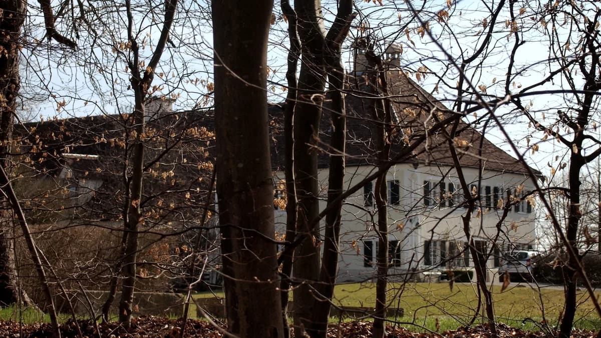 Schloss in Greifenberg