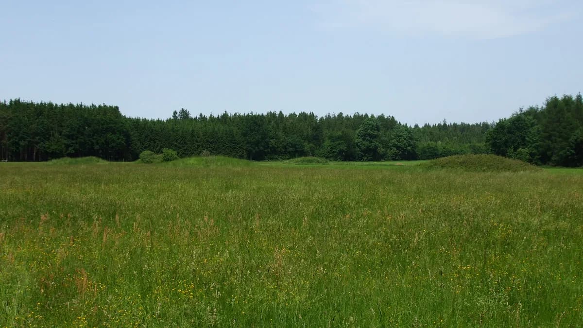 Ortsbild von Pürgen